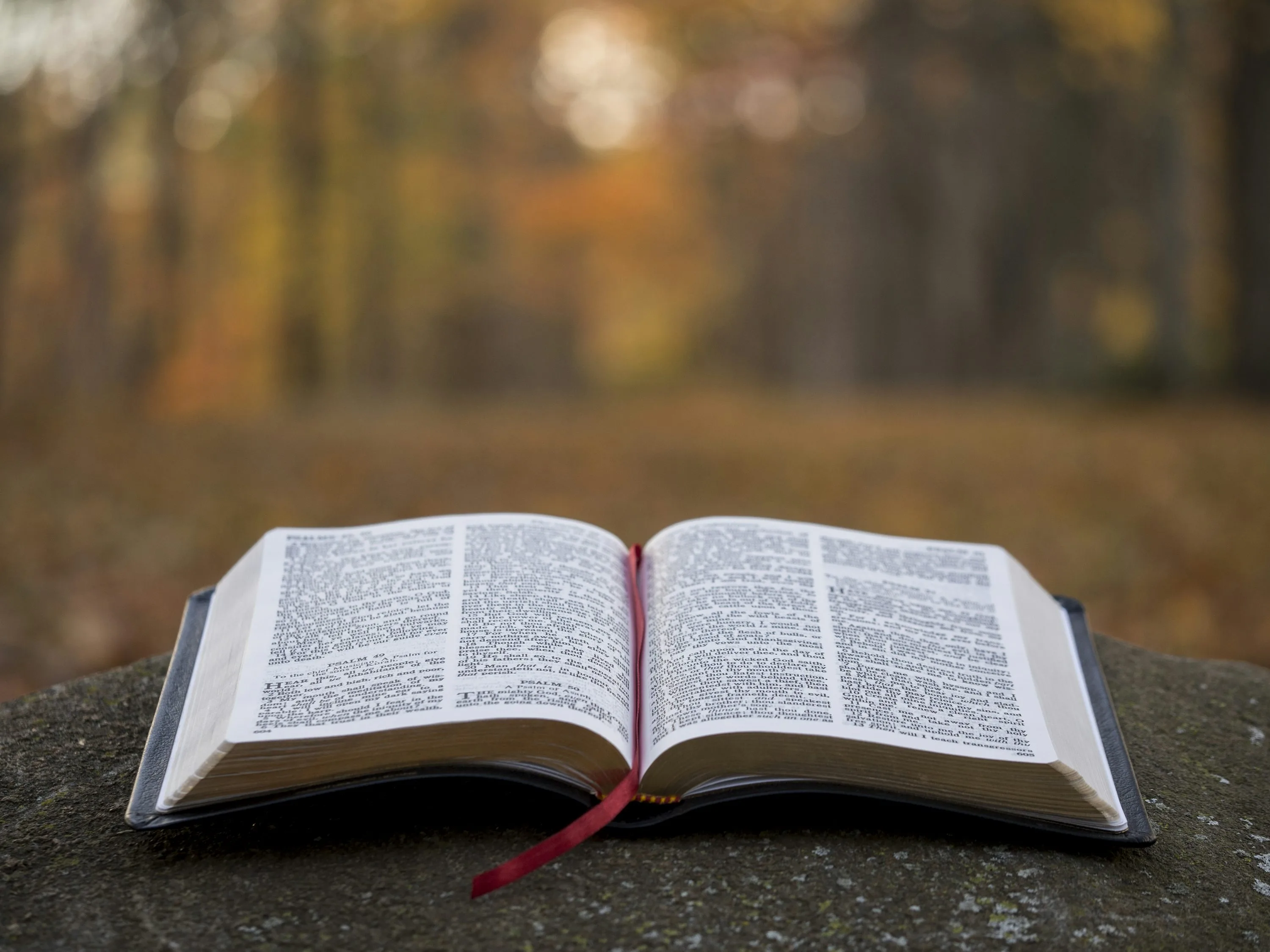 Christ: The Perfect Revelation of God, the Loving Father
